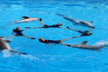 Zoomarine Delfini 2