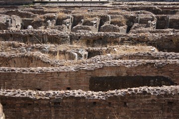 El Coliseo 1